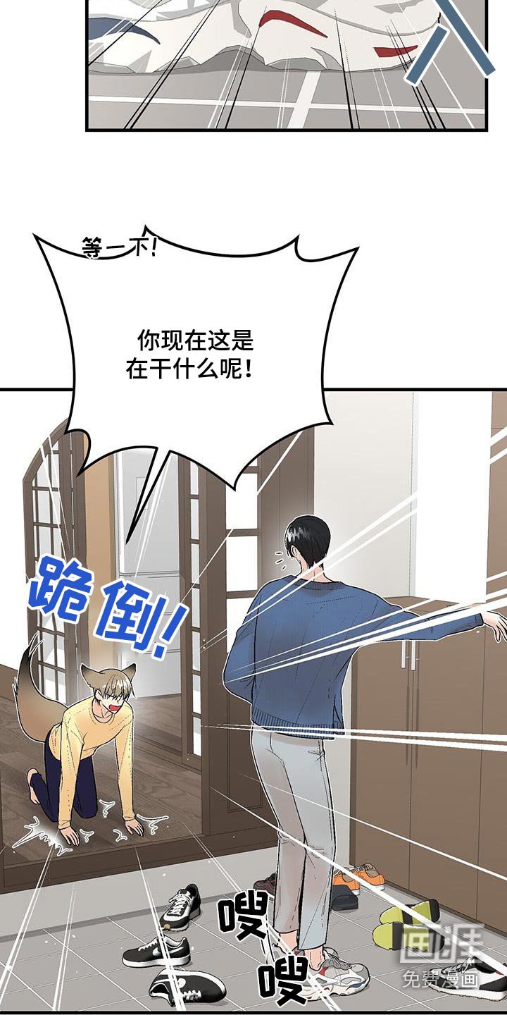 第19章：关系不一般
