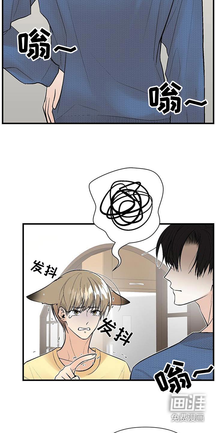 第20章：我的鞋子