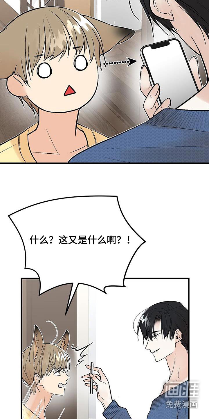 第20章：我的鞋子