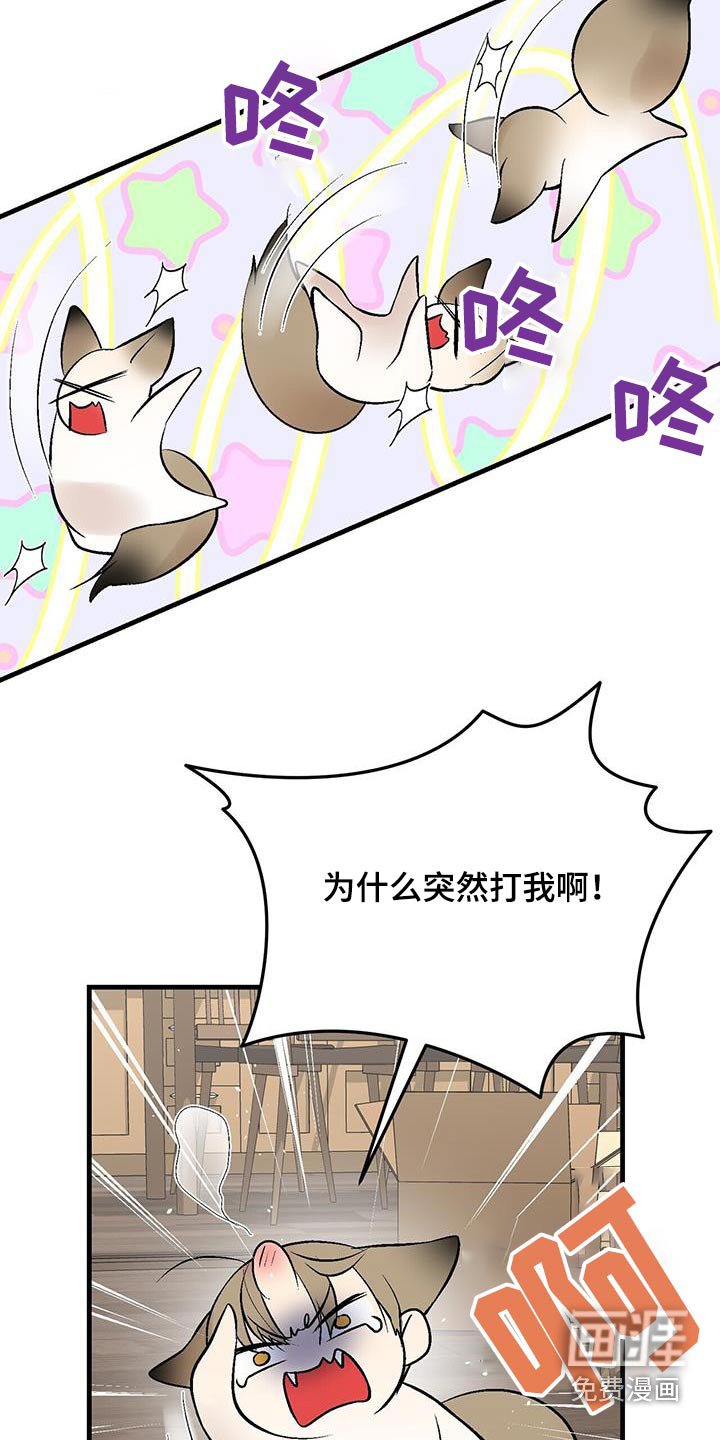 第28章：太晦气