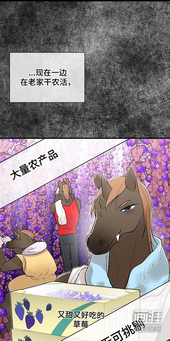 第31章：好久不见