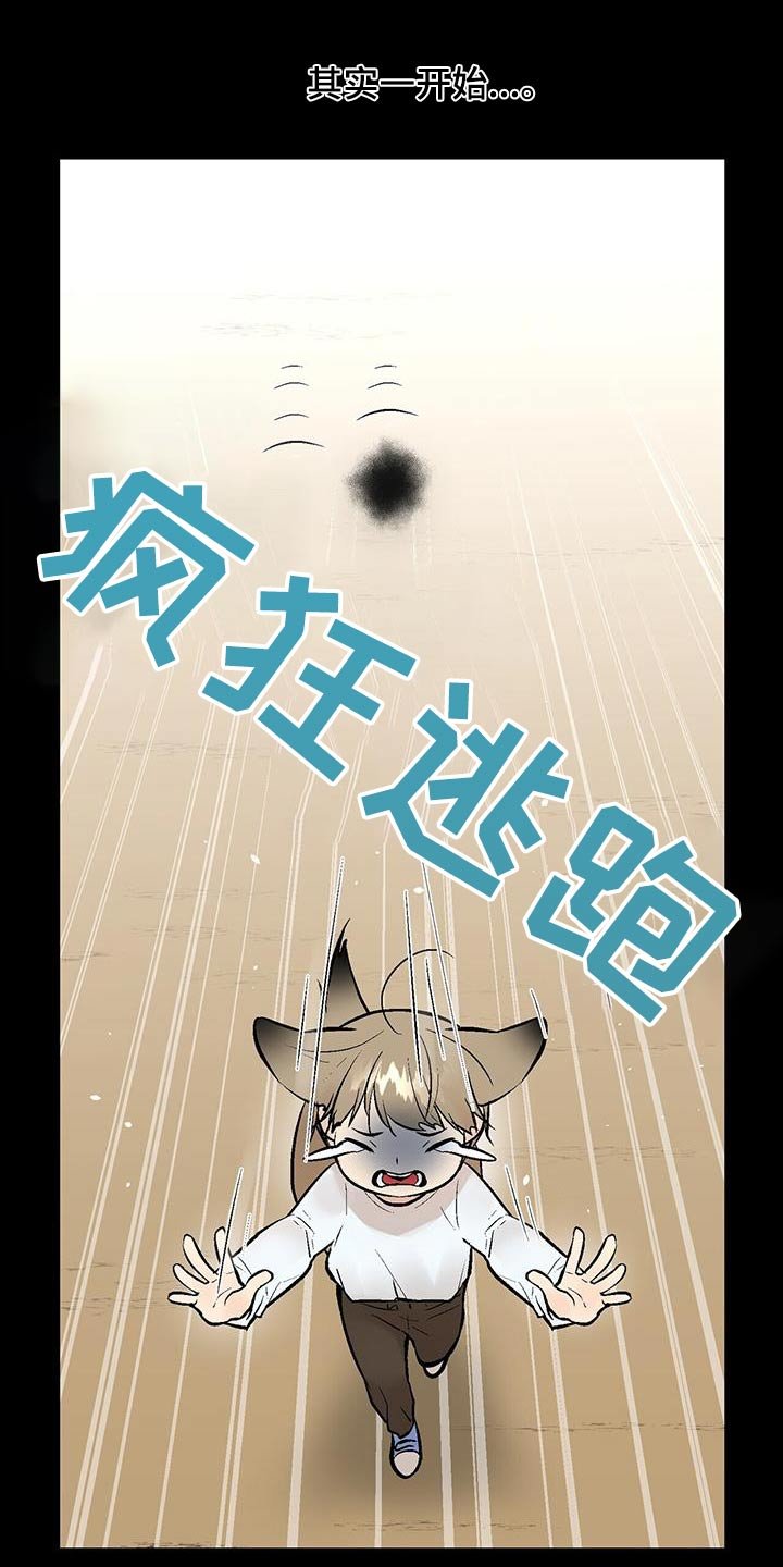 第34章：奇怪的东西