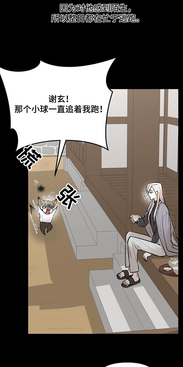 第34章：奇怪的东西
