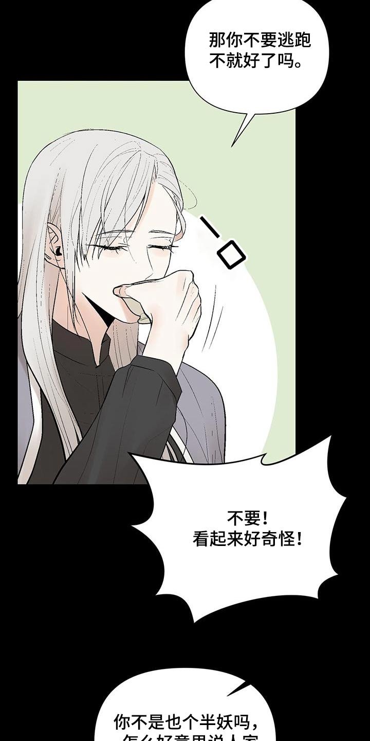 第34章：奇怪的东西