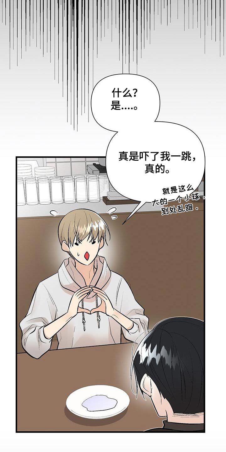 第34章：奇怪的东西