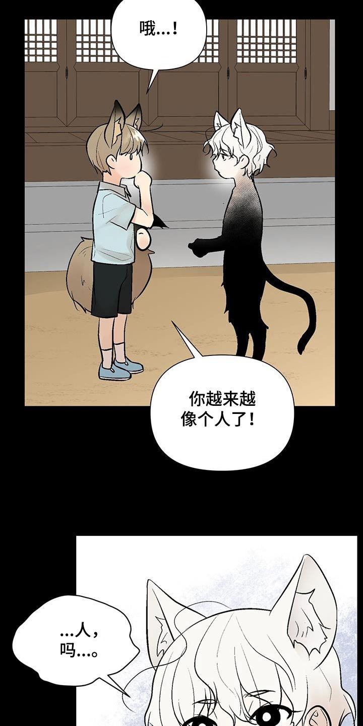 第34章：奇怪的东西