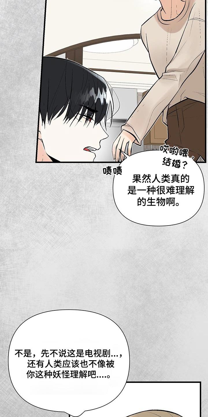 第35章：好好相处 