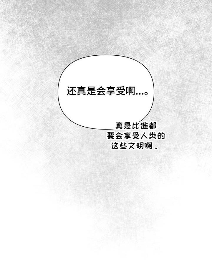 第35章：好好相处 