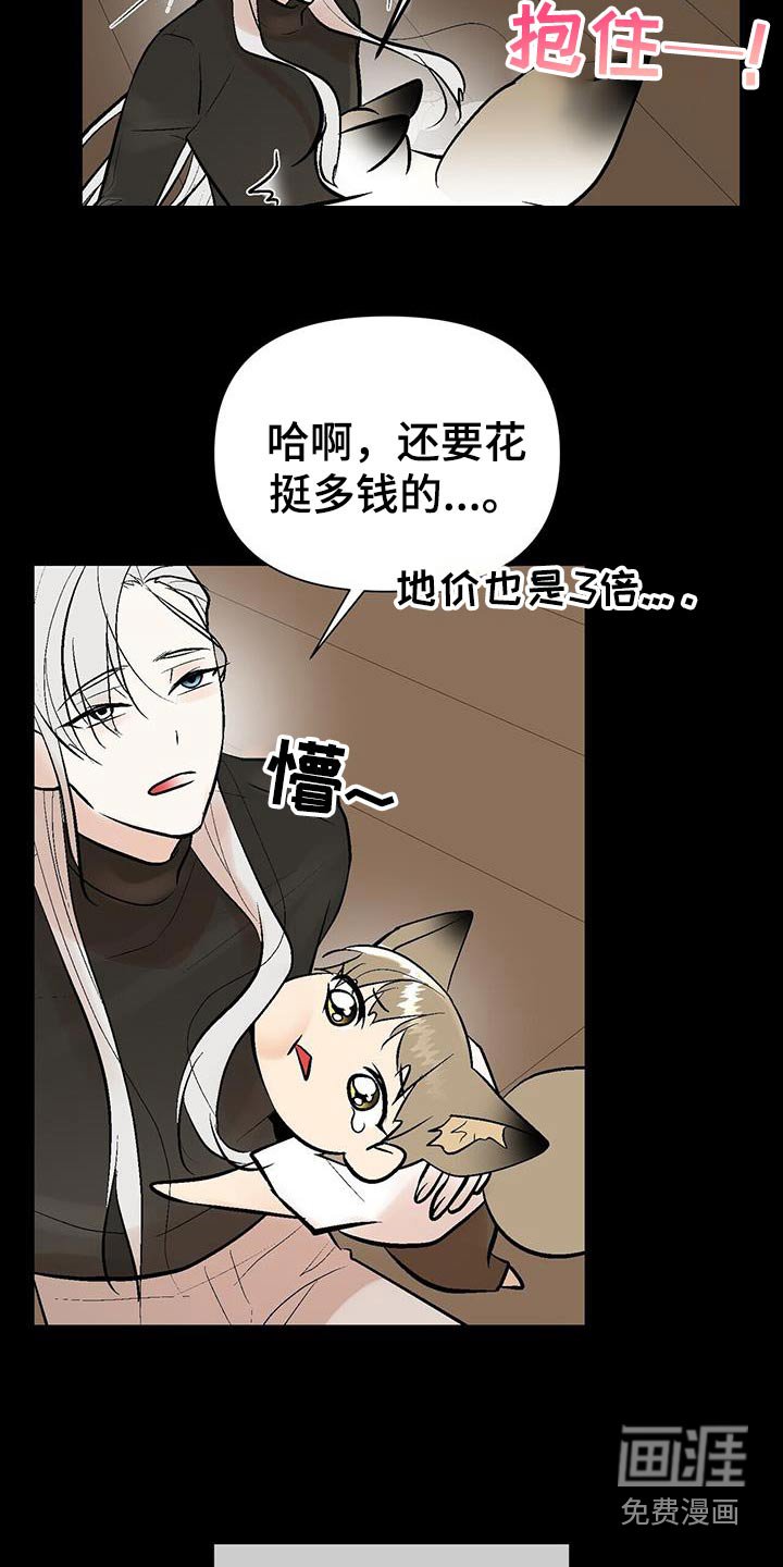 第37章：百科