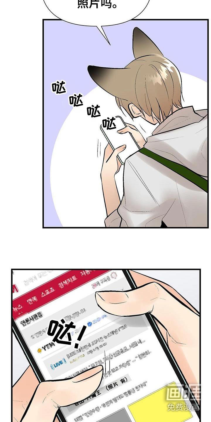 第37章：百科