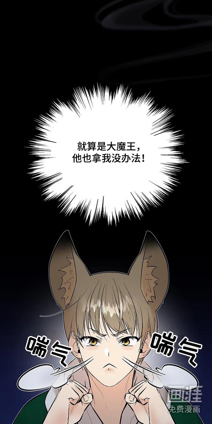 第38章：搜索