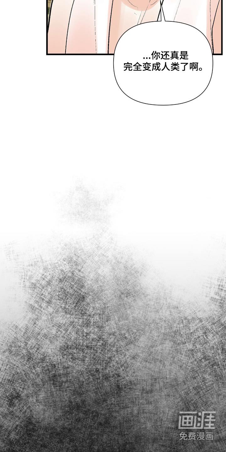 第44章：有什么好玩的
