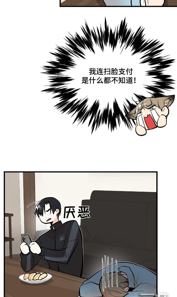 第46章：是我干的