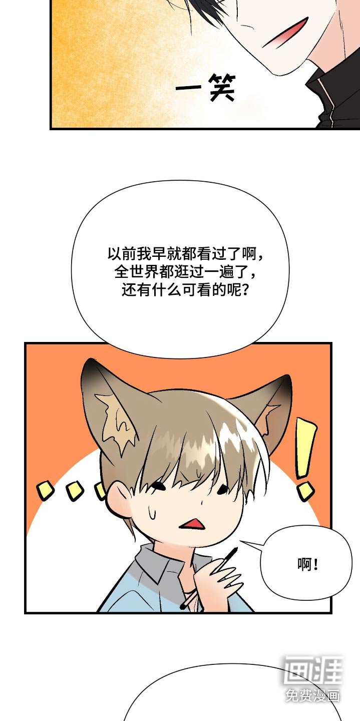 第46章：是我干的
