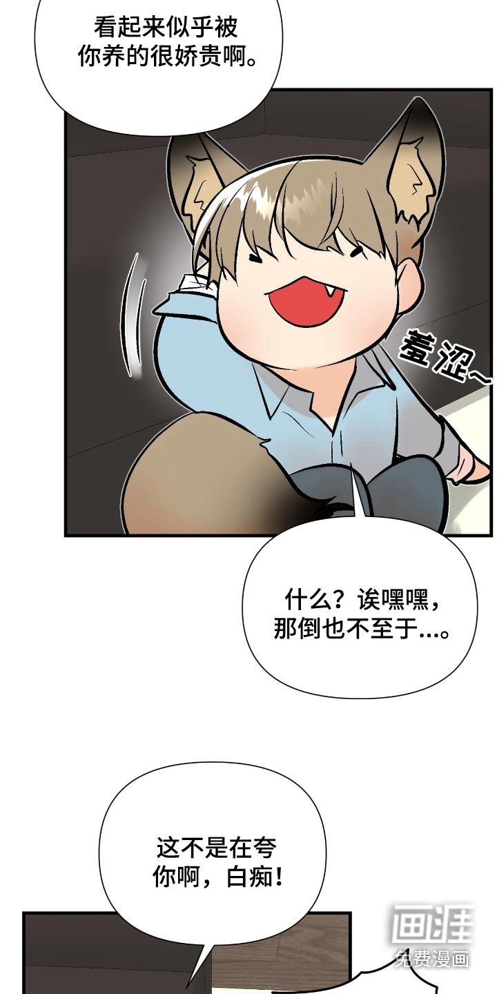 第48章：不是故意的