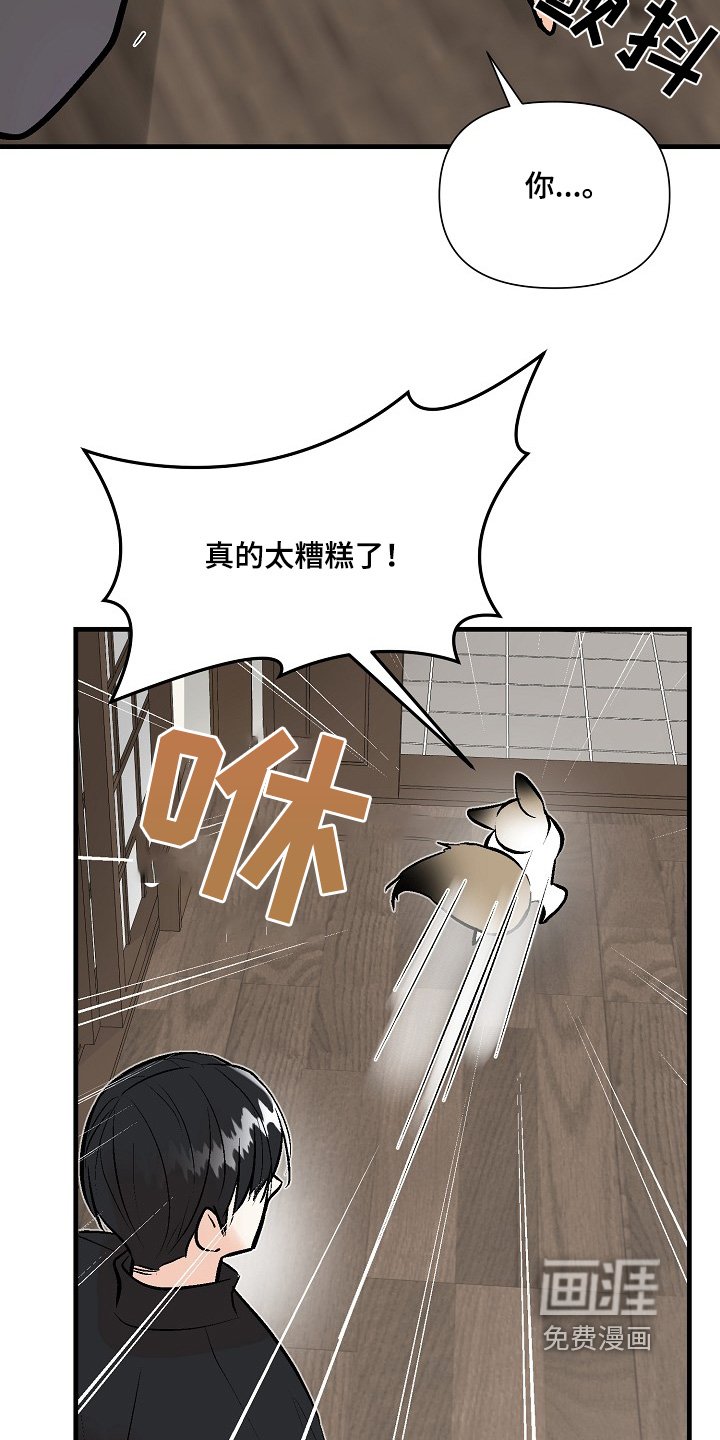 第50章：我的分身【第一季完结】