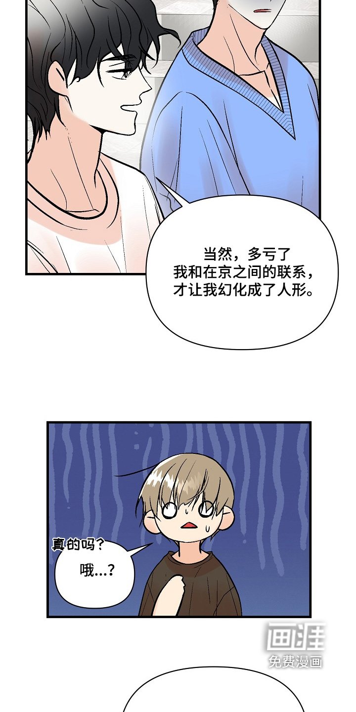 第61章：【第二季】确实没有状况