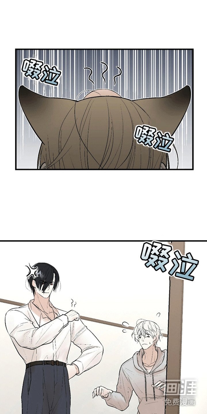 第6章：老古董