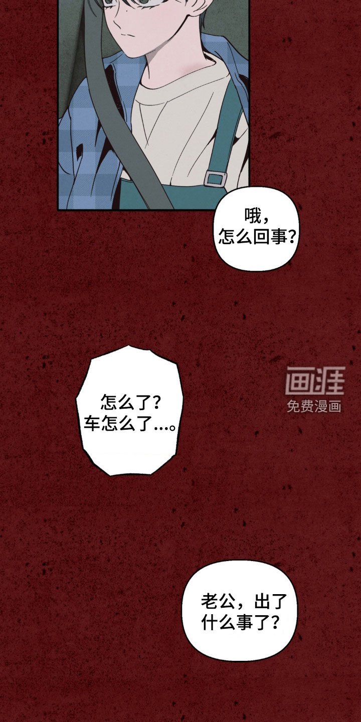 第15章：爱情