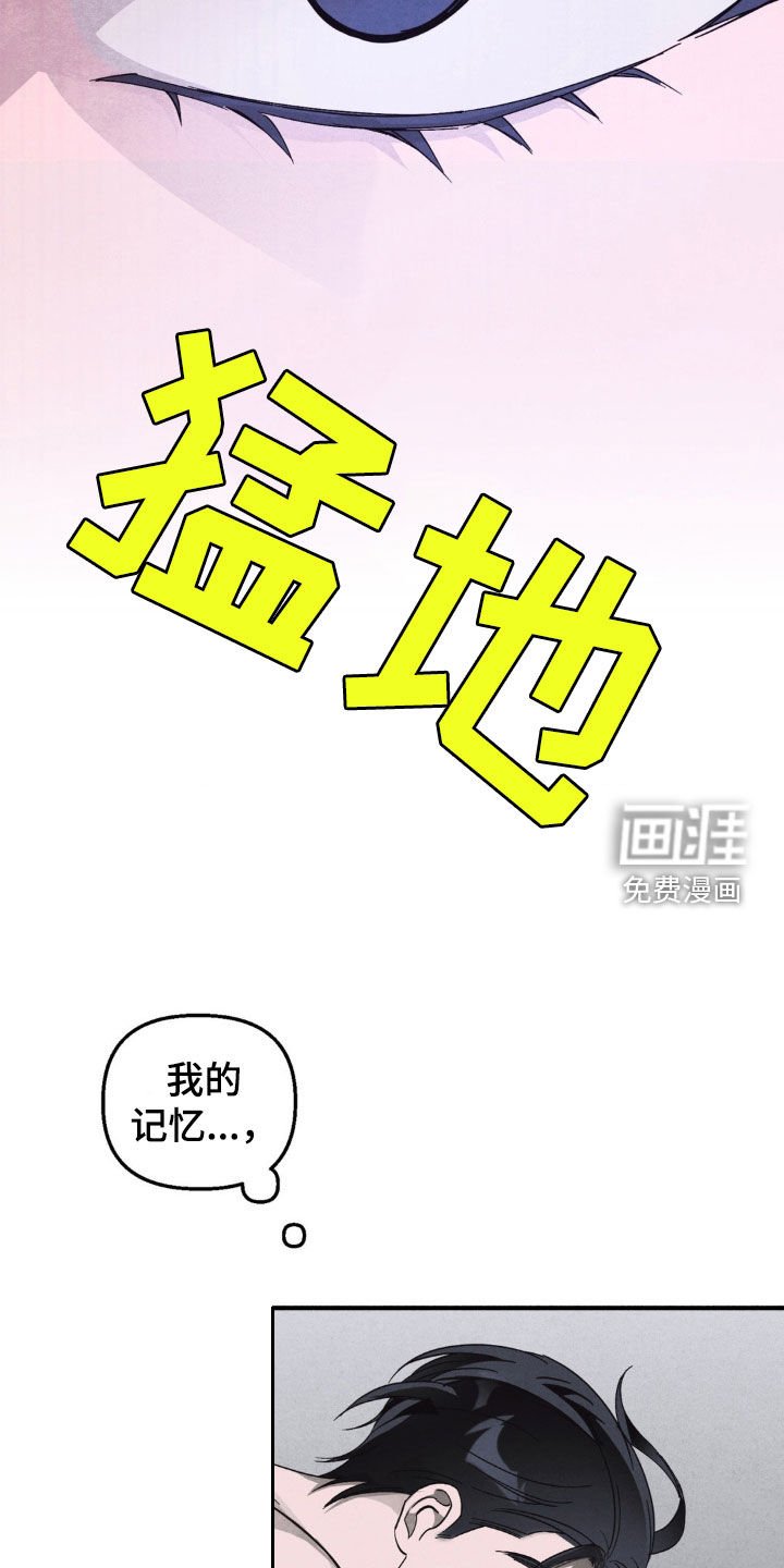 第15章：爱情