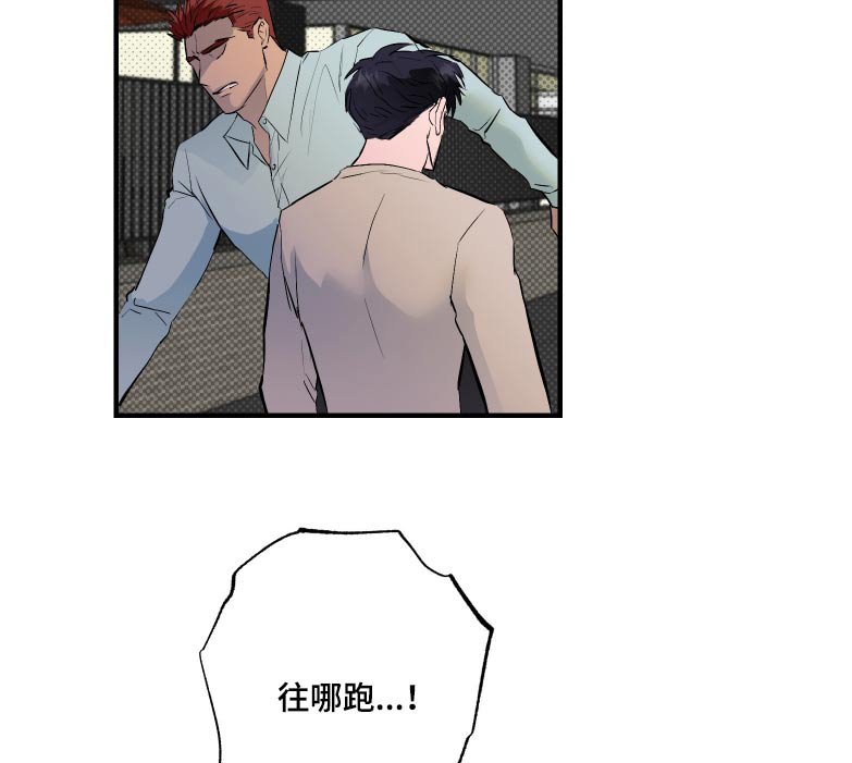 第44章：不要动