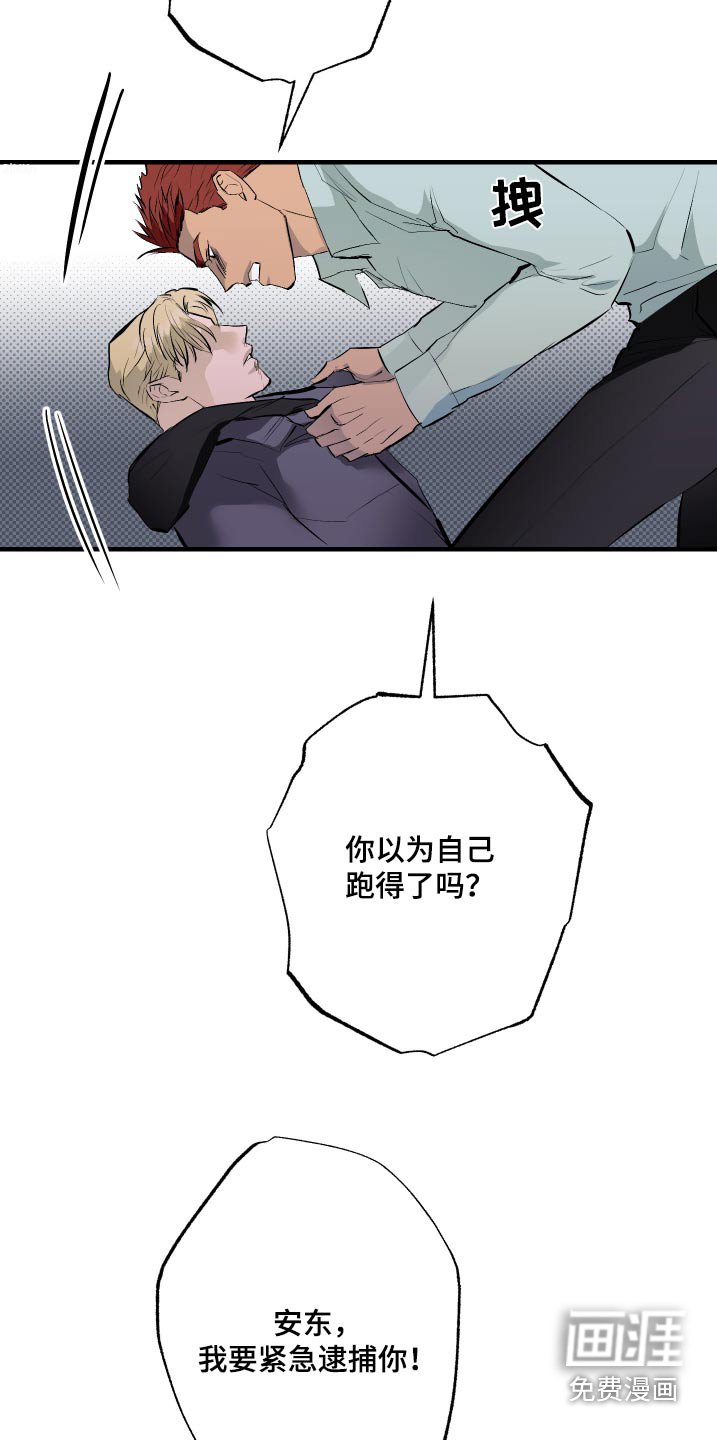 第44章：不要动