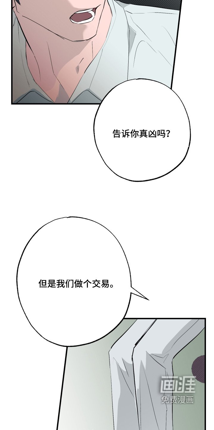 第49章：【第二季】情报