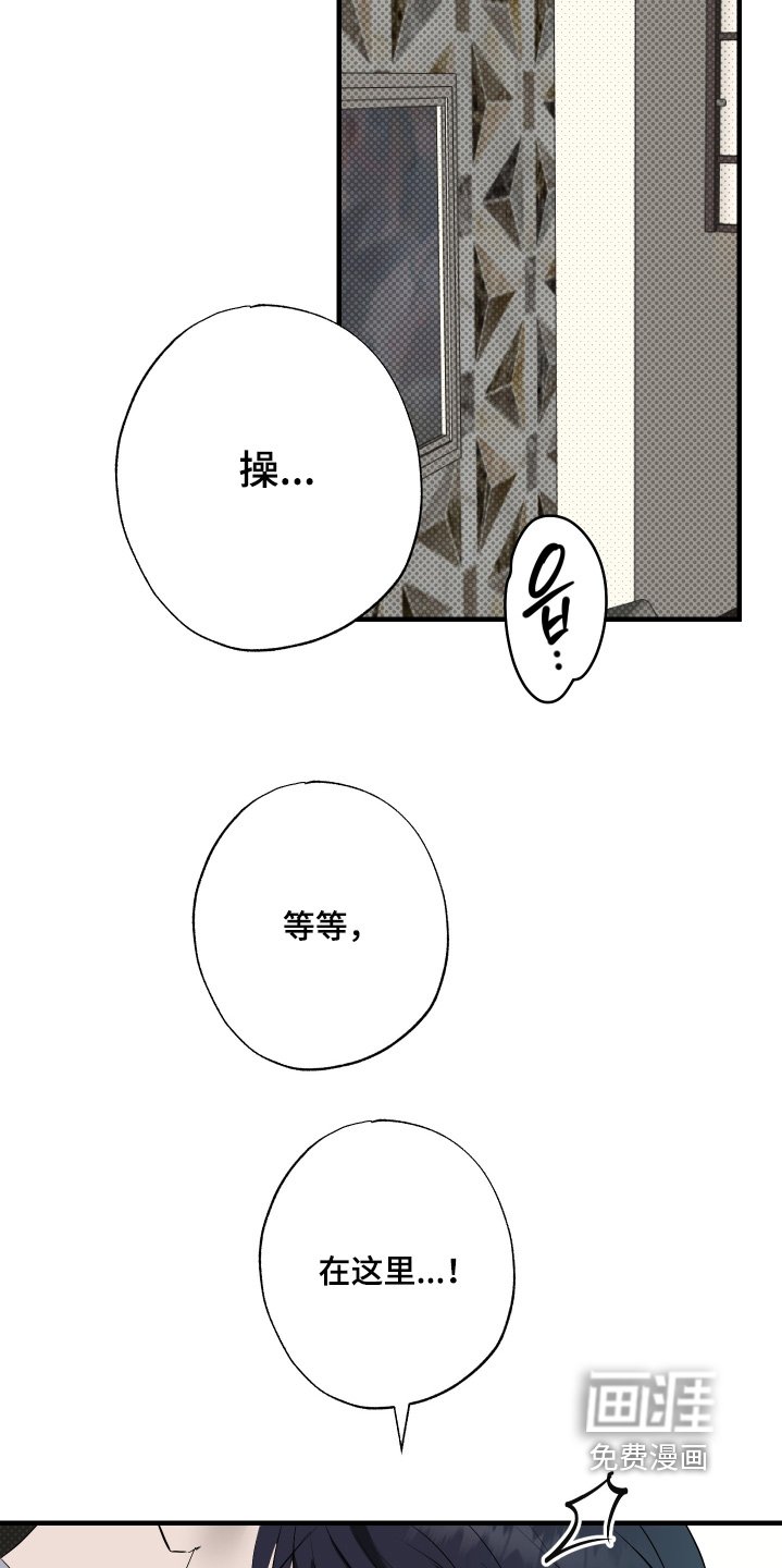 第53章：【第二季】这次是真的