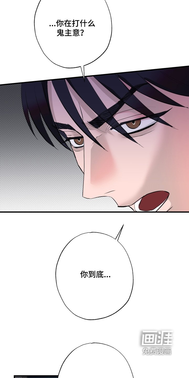 第54章：【第二季】你打什么鬼主意