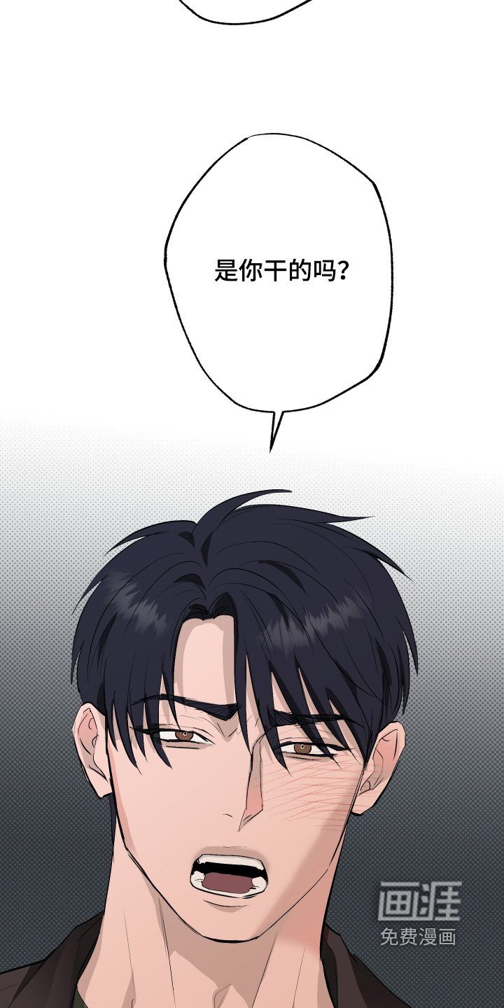 第56章：【第二季】为什么