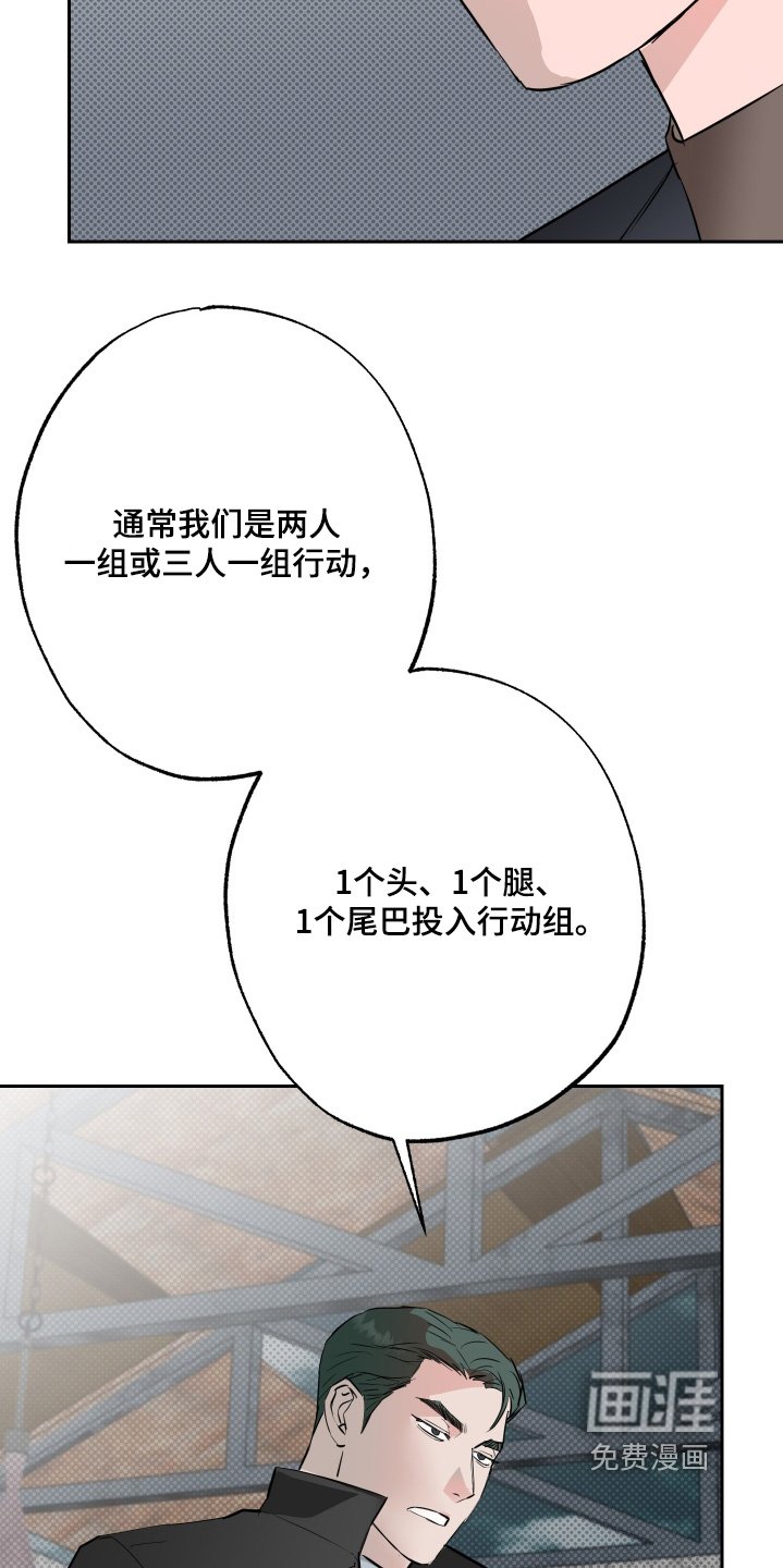 第68章：【第二季】行动
