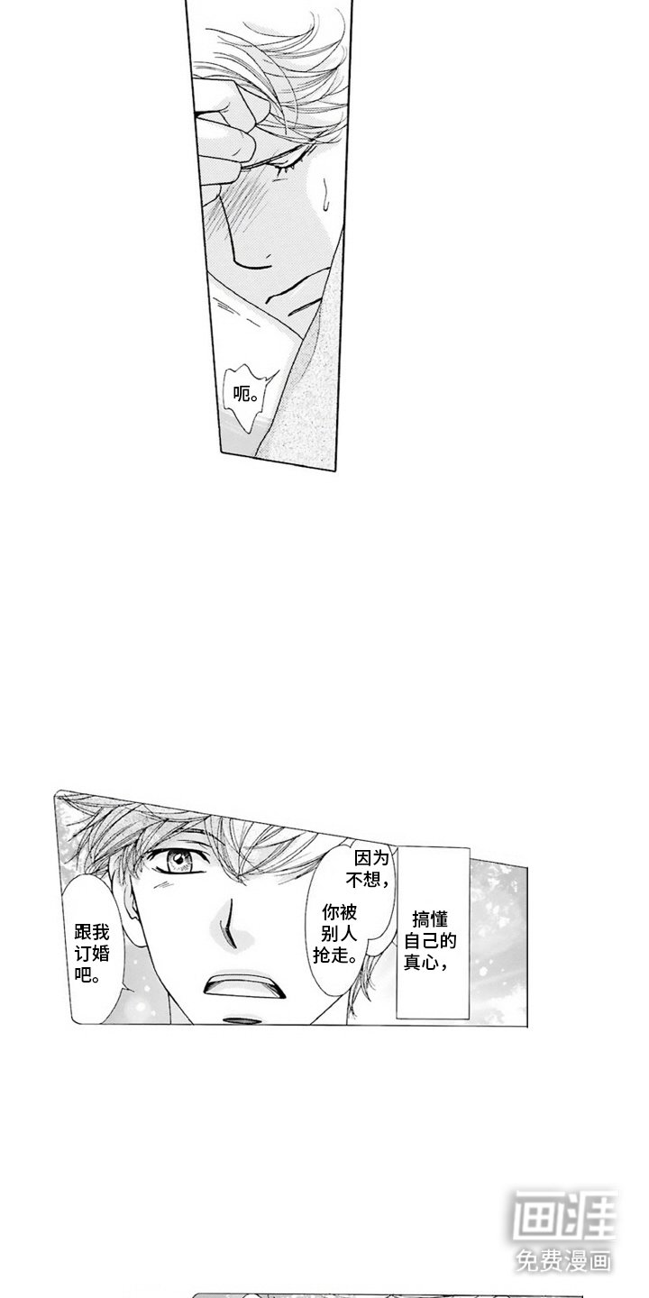 第15章：真心