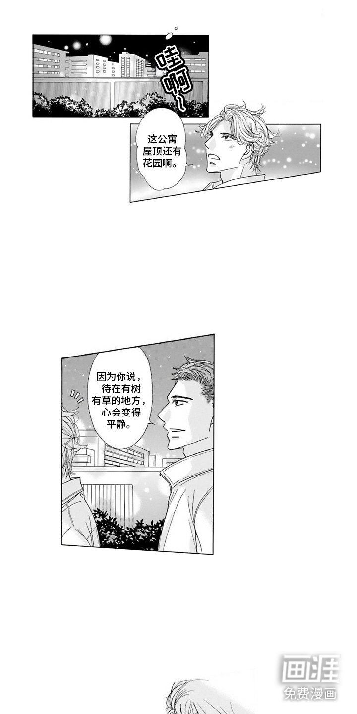 第18章：求婚
