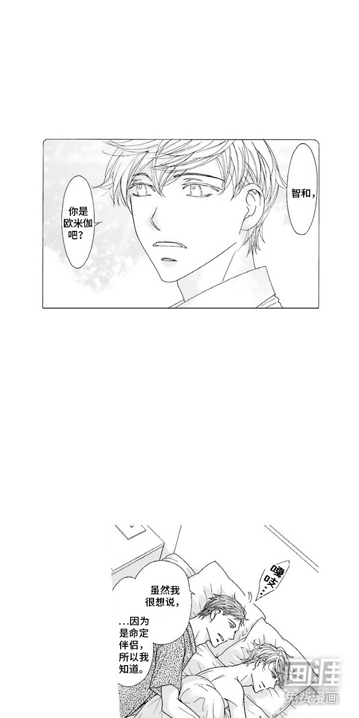 第19章：标记