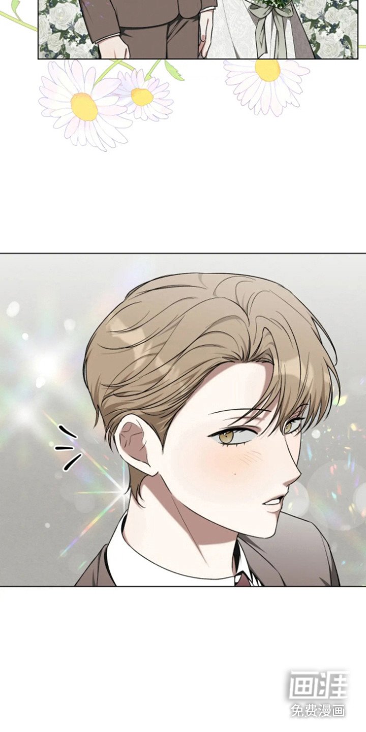 第14章：看错了