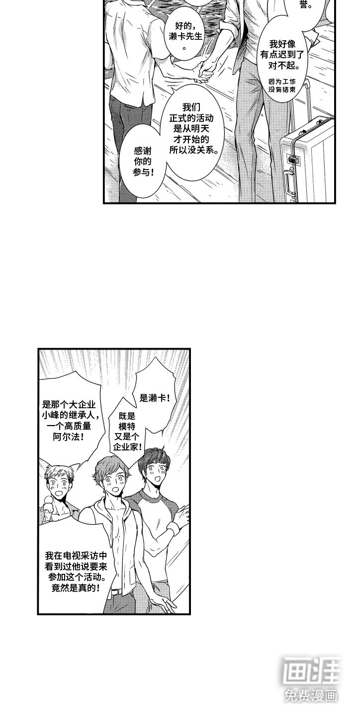 第1章：爱尔兰婚礼计划