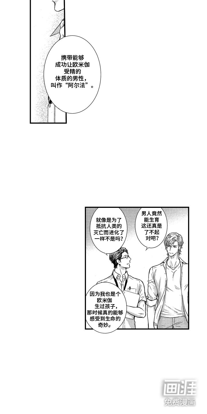 第1章：爱尔兰婚礼计划
