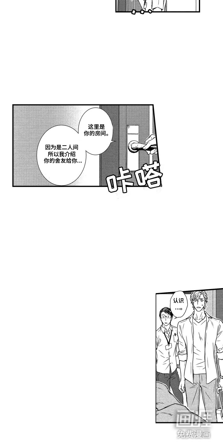 第1章：爱尔兰婚礼计划