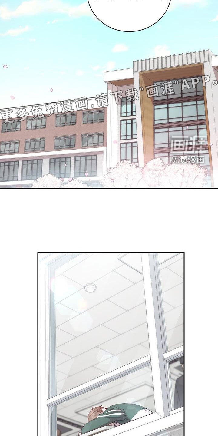 第29章：带回家