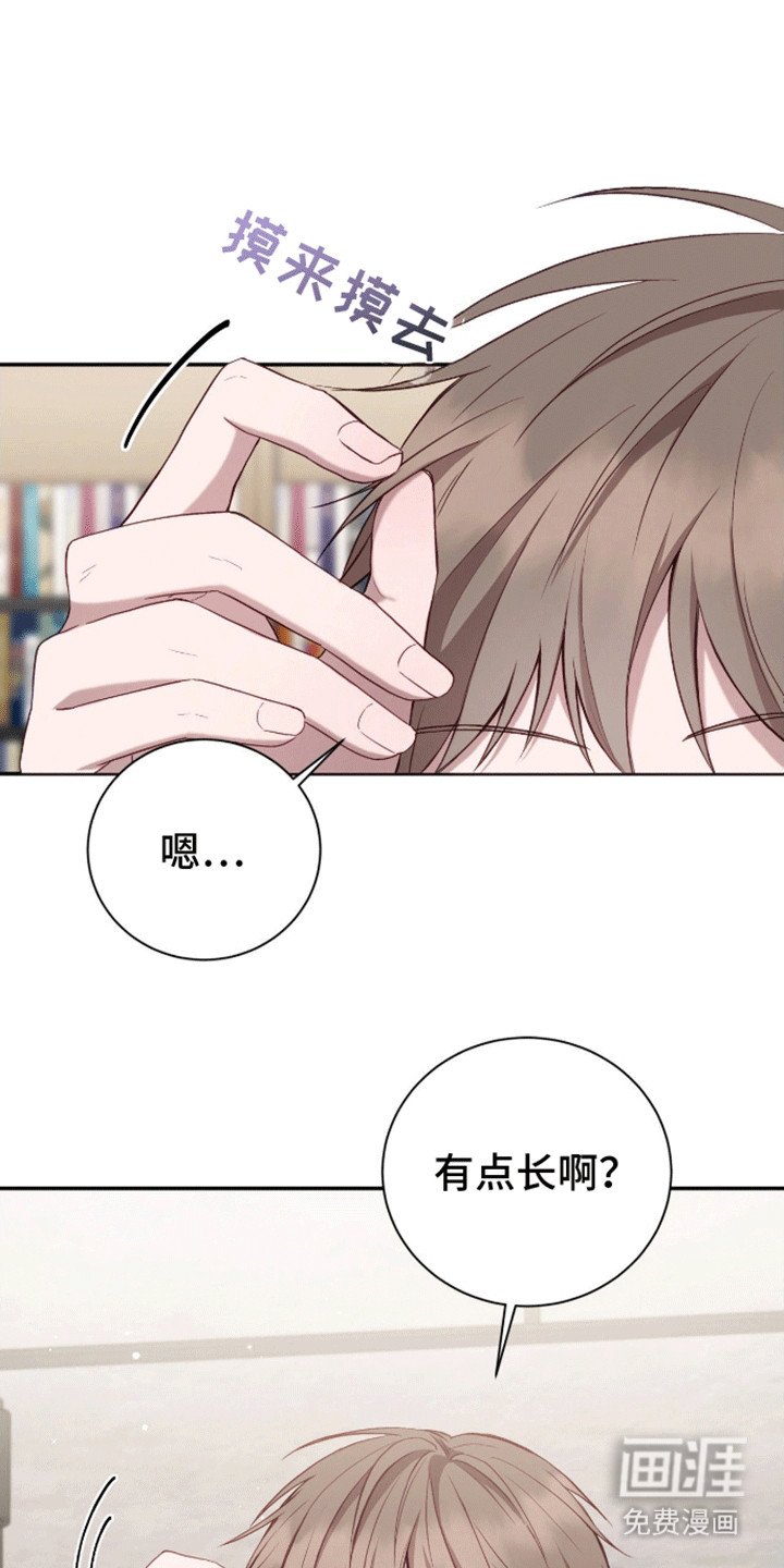 第6章：学习天使