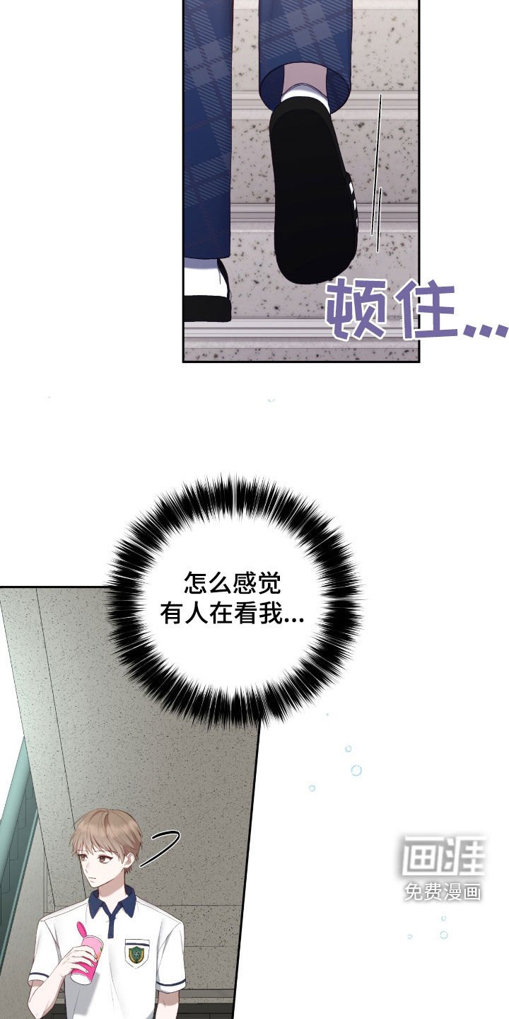 第66章：别给别人看