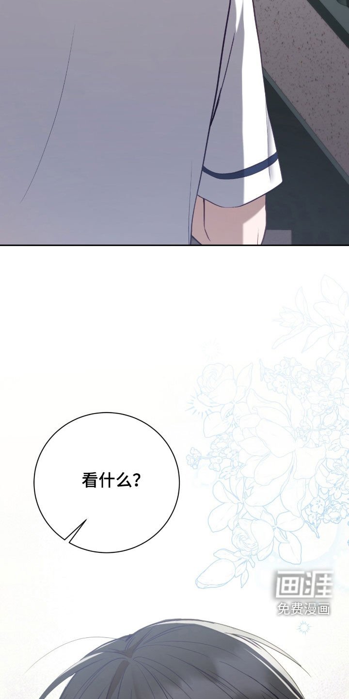 第66章：别给别人看
