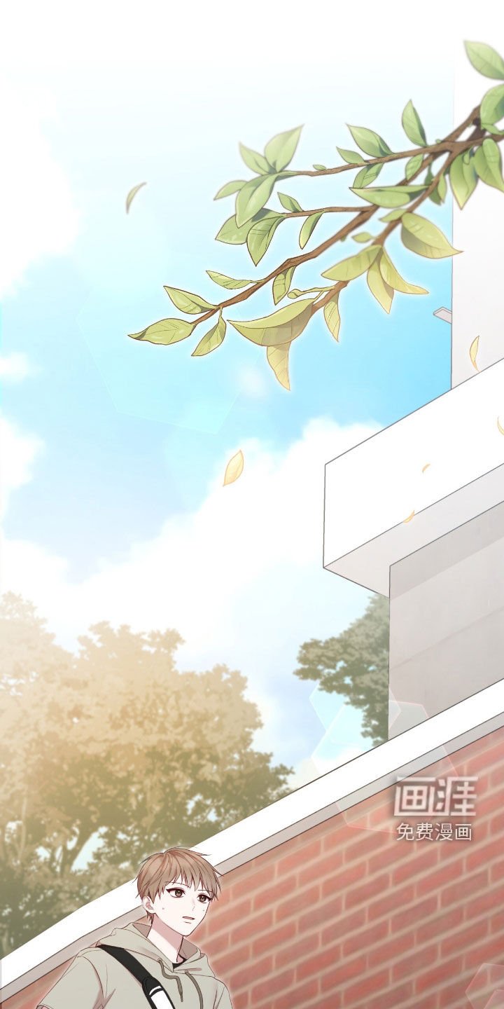 第80章：菠萝过敏