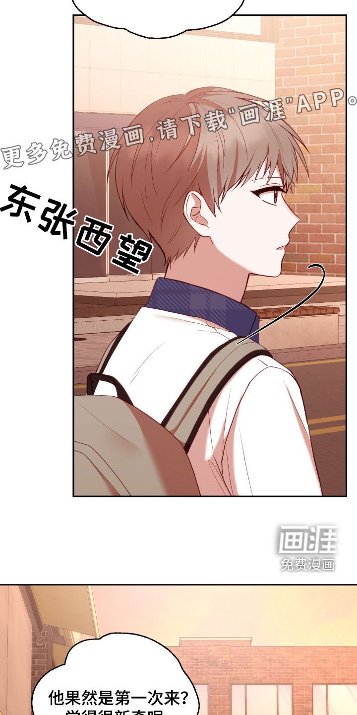 第84章：愿望