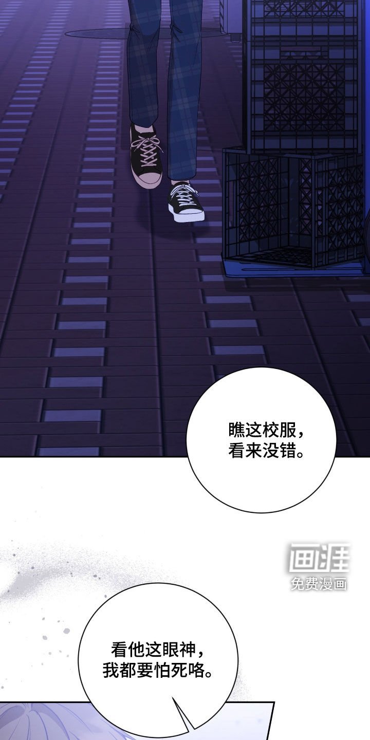 第85章：打架