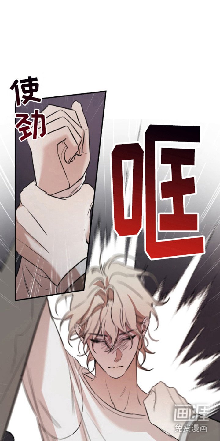 第11章：物以类聚