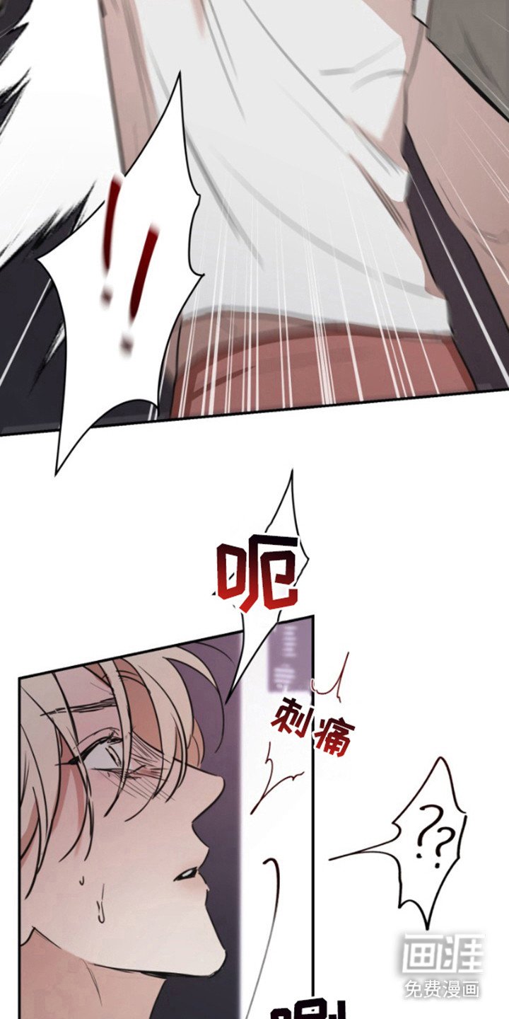 第11章：物以类聚