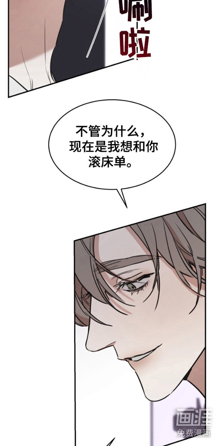 第11章：物以类聚