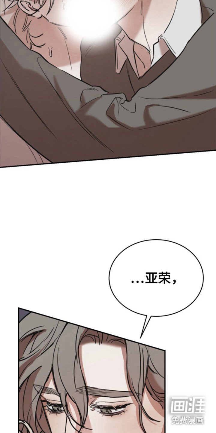 第11章：物以类聚
