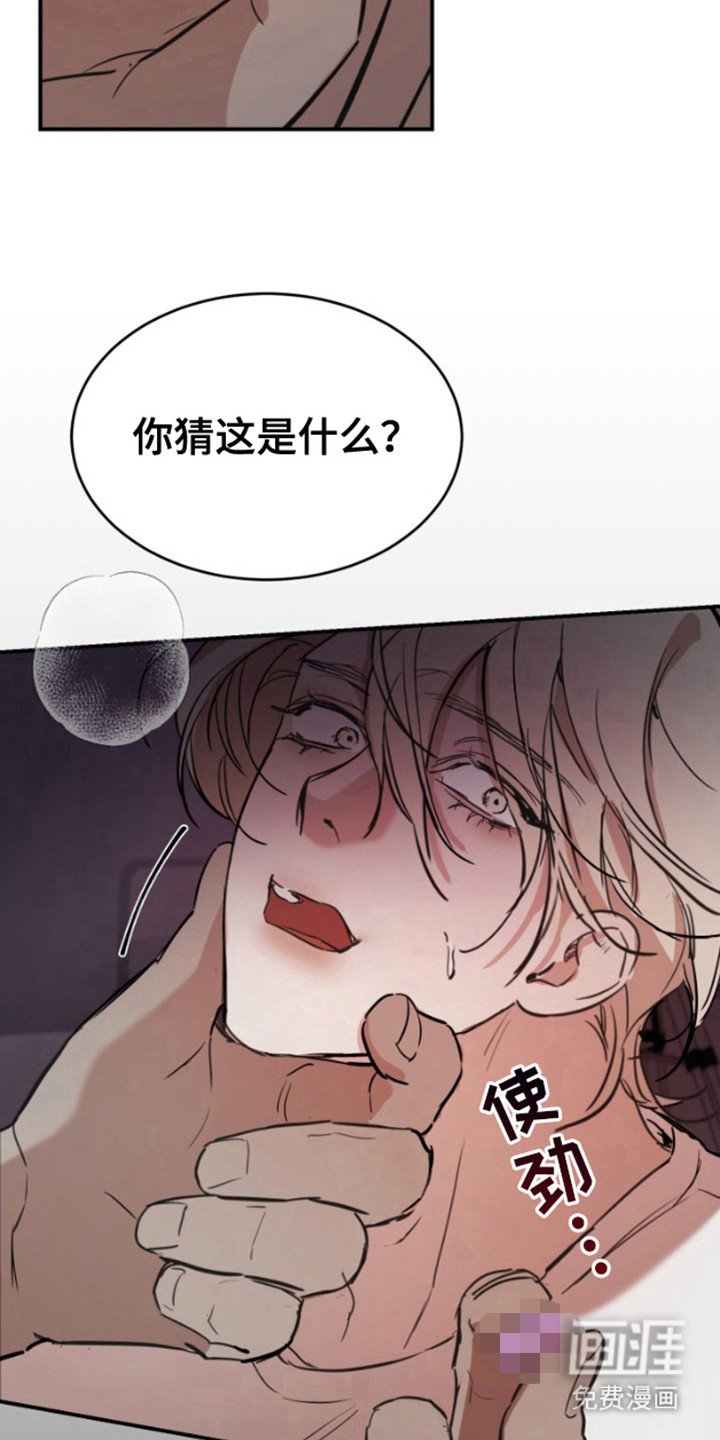 第11章：物以类聚